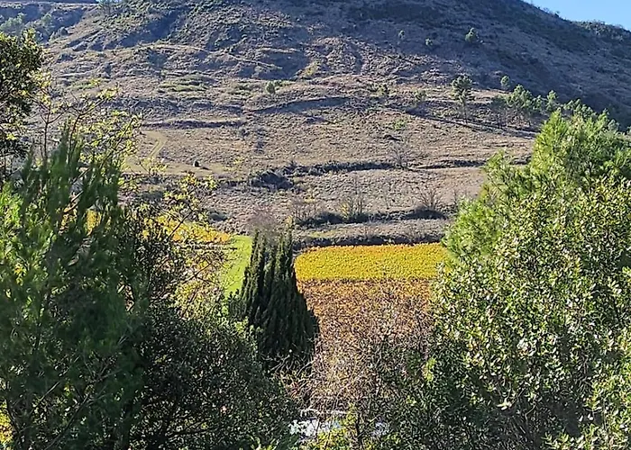 Villa Monze *